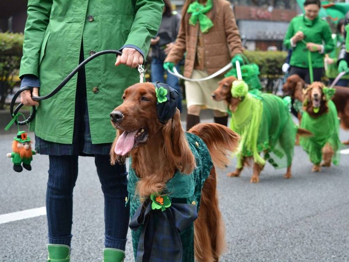 St. Patrick's Day 2015 celebrations around the world...and fun facts (12)