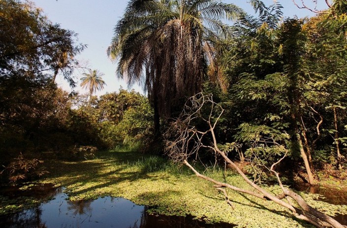 Gambia, one of the hot 2015 travel destinations 4