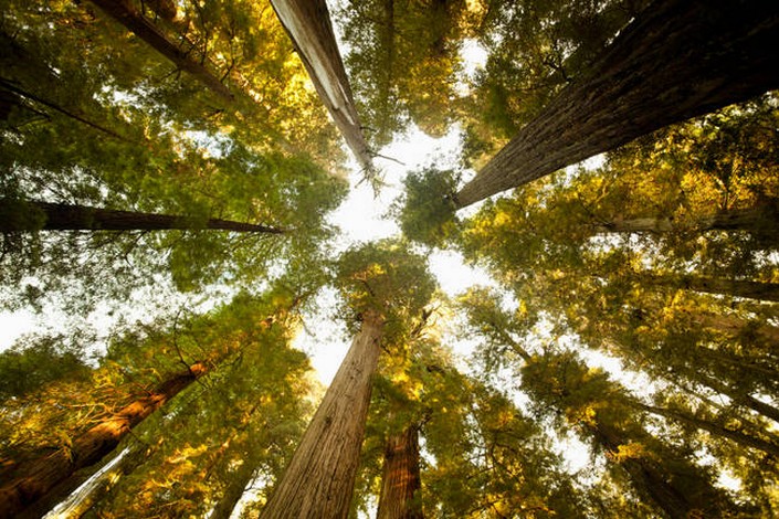 BRABBU Design Inspiration: 30 Natural Wonders in USA