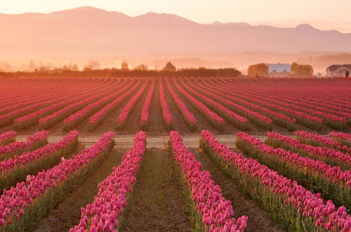 BRABBU Design Inspiration: 30 Natural Wonders in USA