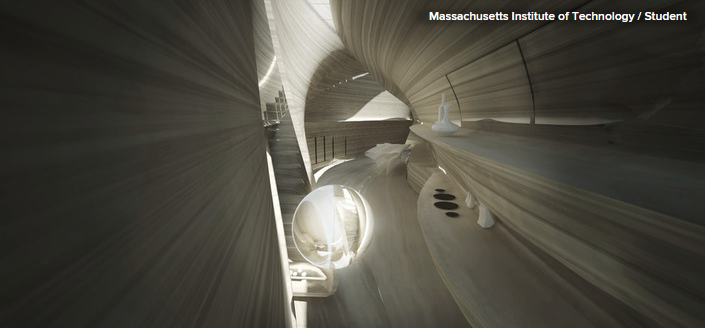Houzz + AIA Future of Architecture Winners#4