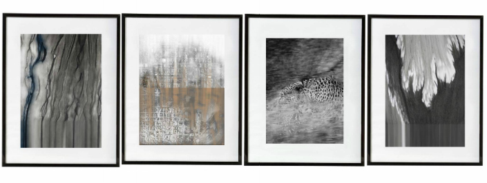 If you're going to Art Basel you must see these exhibitions 1