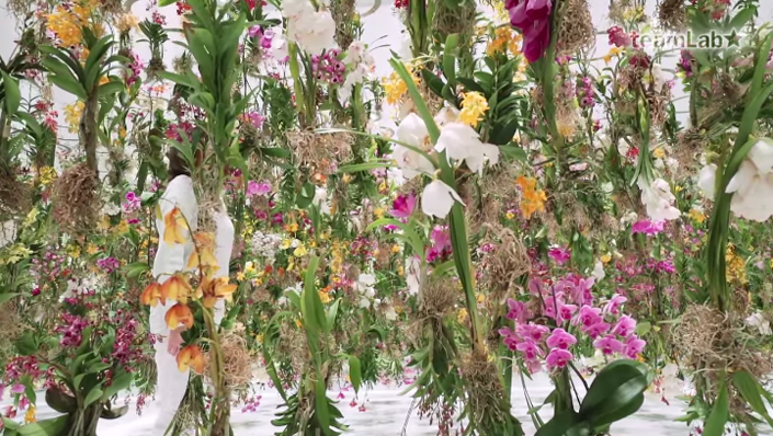 M&O Paris 2015 - Floating Flower Garden by Team Lab