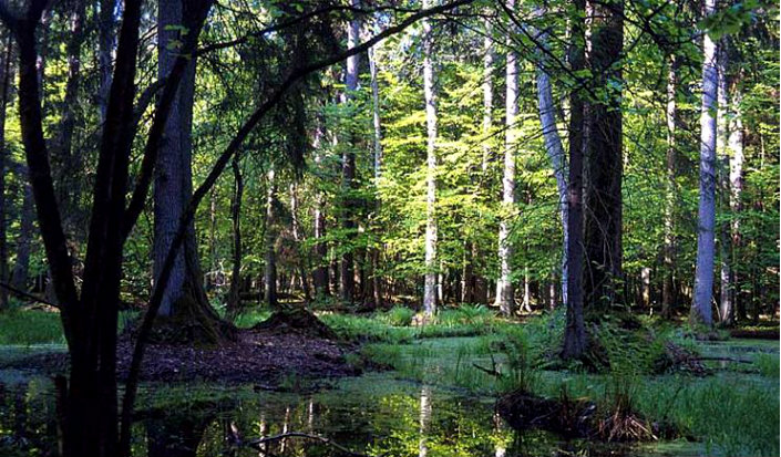 10 Exotic Places to Visit in Your Vacations