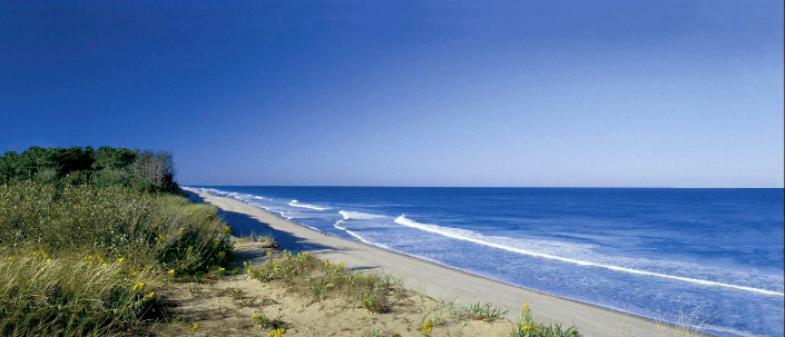 10 beaches to visit this summer on Unites States