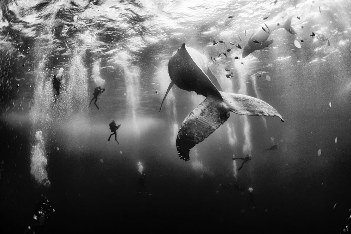 The Winners of National Geographic 2015 Traveler Photo Contest