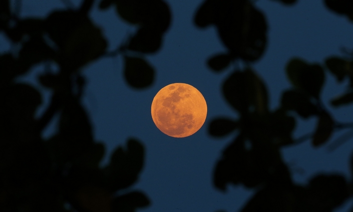 The Best Pictures from the super blood moon september 2015 14