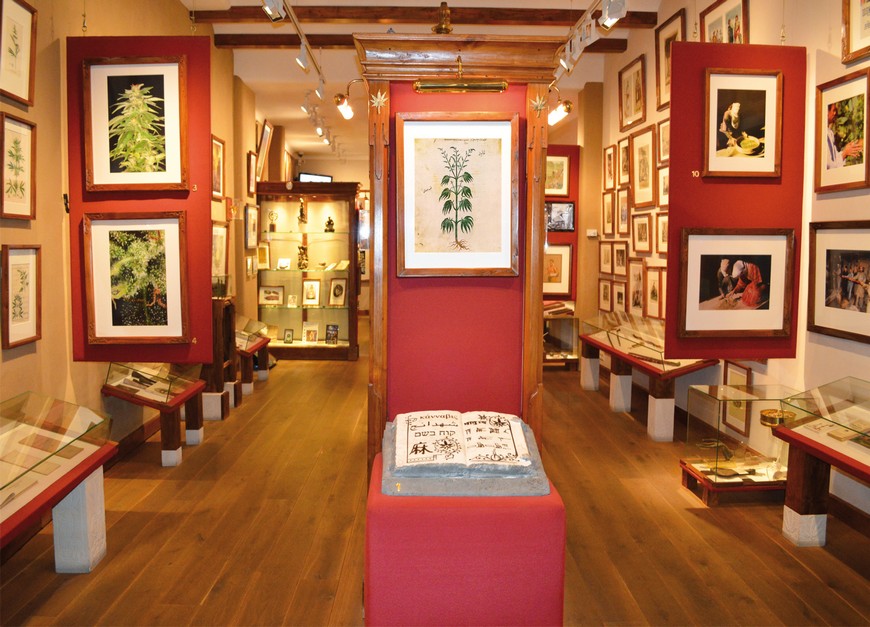 What to do in Amsterdam 7 museums of modern art in 7 days-Hash Marihuana & Hemp Museum