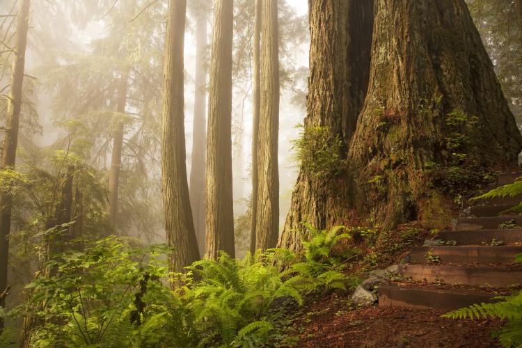 Star Wars Set Movie – a tour into 15 real life settings 4