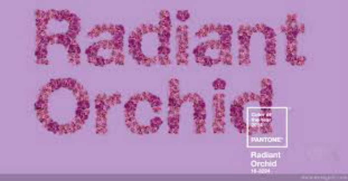 Pantone color of the year 2014-Radiant Orchid