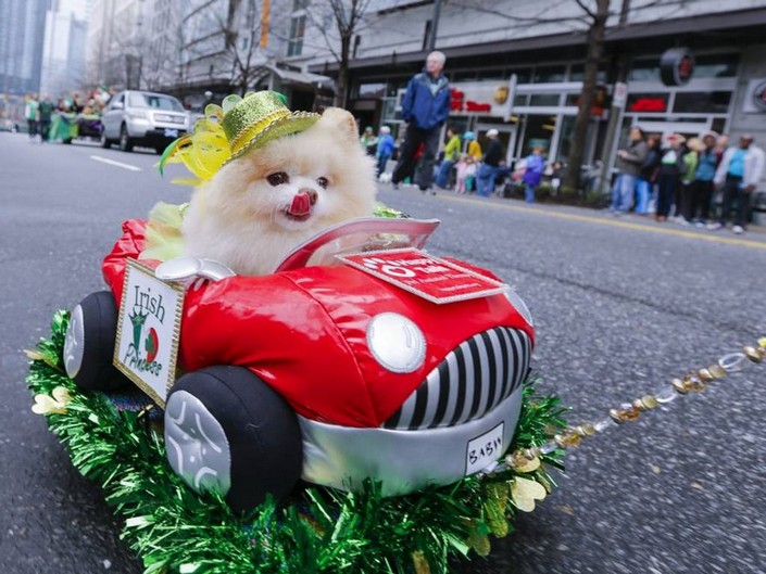 St. Patrick's Day 2015 celebrations around the world...and fun facts (15)