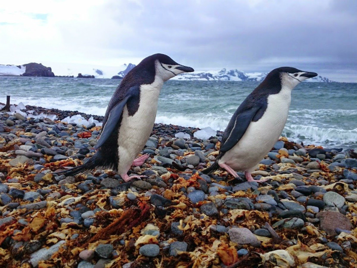 Visiting All the Countries