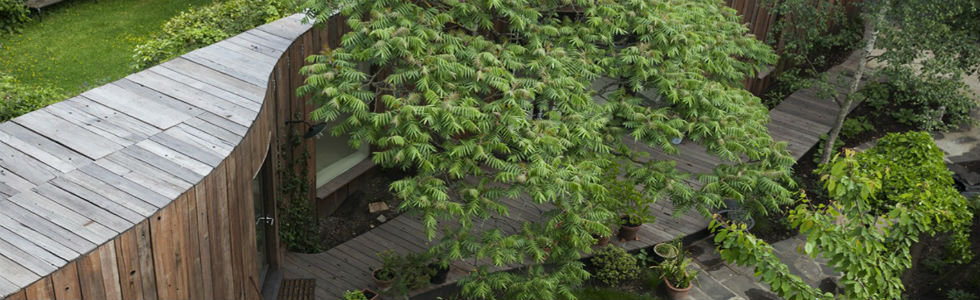 Tree_House capa