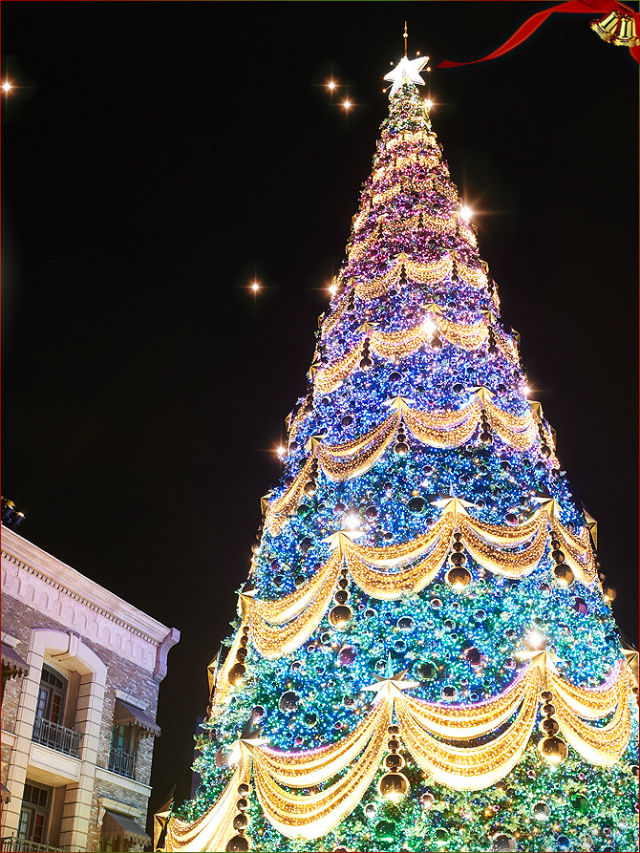 Leave a Reply Cancel reply