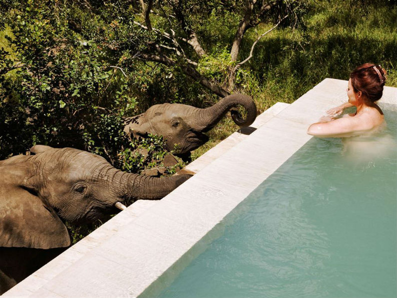 20 Best Hotels With Astonishing Pools To Swim in During your Holidays