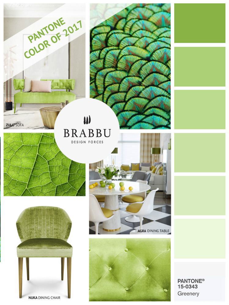 Add A Pop Of Color To Your Home This Color Trends 2017