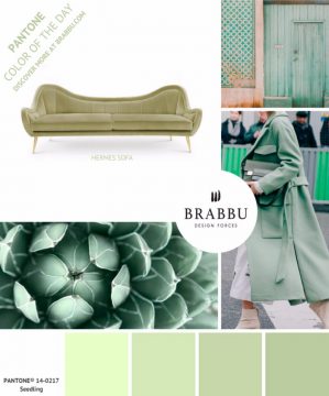 Color trends and home decor are meant to be always together. Seedling ...