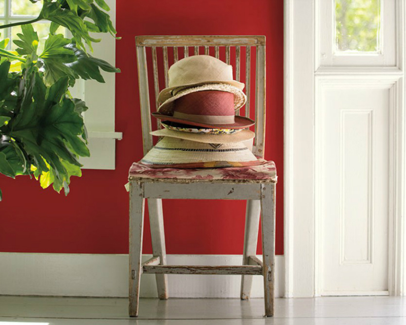 color trends
