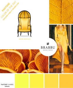 To finish, some colors of interior design that are going to be a trend ...
