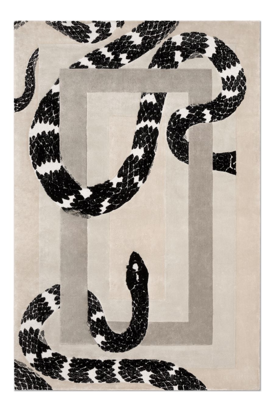 Modern Rugs: Discover the Art of Rug Designs by Rug’Society