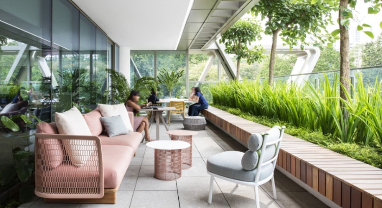 Hassell and Modern Interior Design Ideas