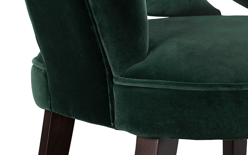 CAYO | Velvet Dining Chair Modern Design by BRABBU