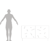 human-scale-baraka-II